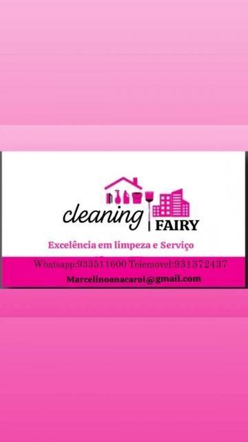 Cleaning fairy specialist