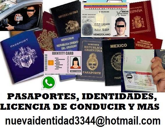 Pasaportes identidades licencias de conducir